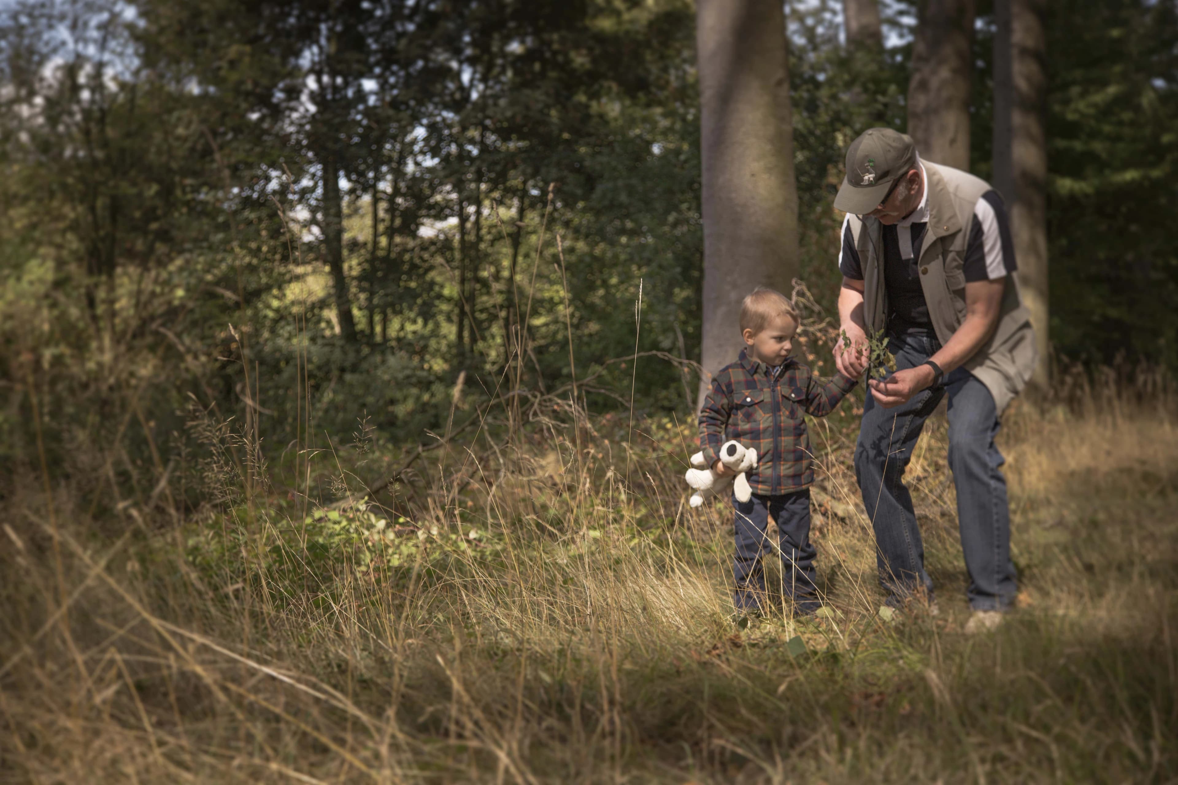 Landelijk Vlaanderen landschap