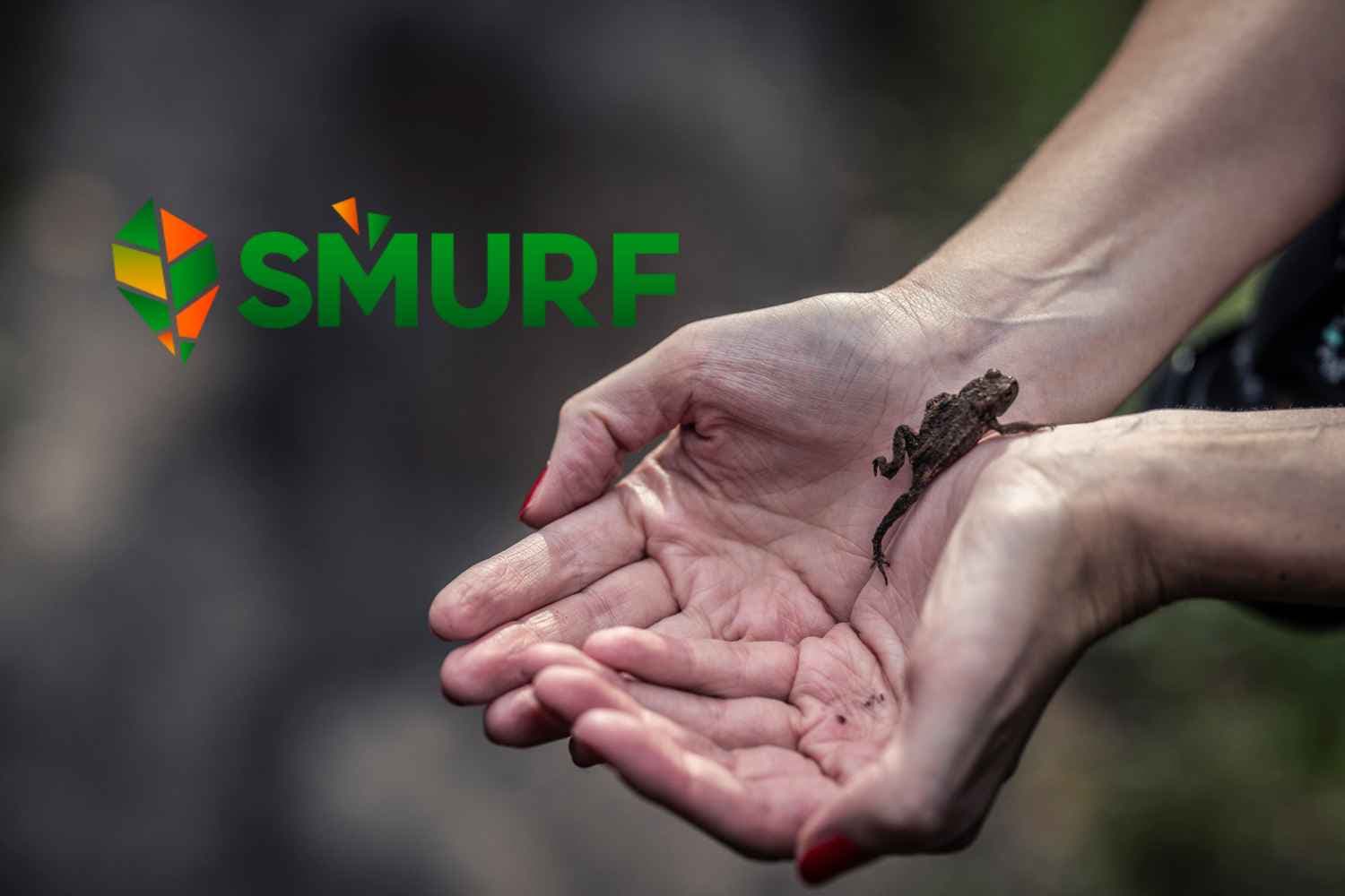 SMURF: The Forest Owners Project
